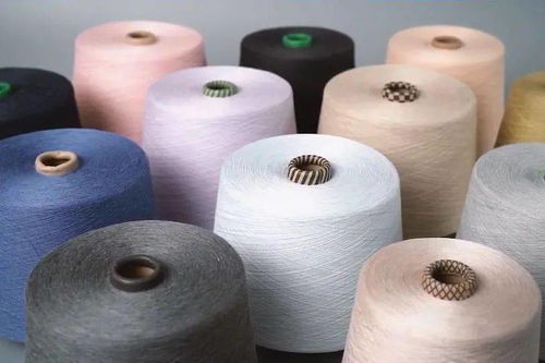 柯橋先行示范之路 瞄準(zhǔn)“雙碳”目標(biāo)，加速綠色轉(zhuǎn)型推動(dòng)共同富裕